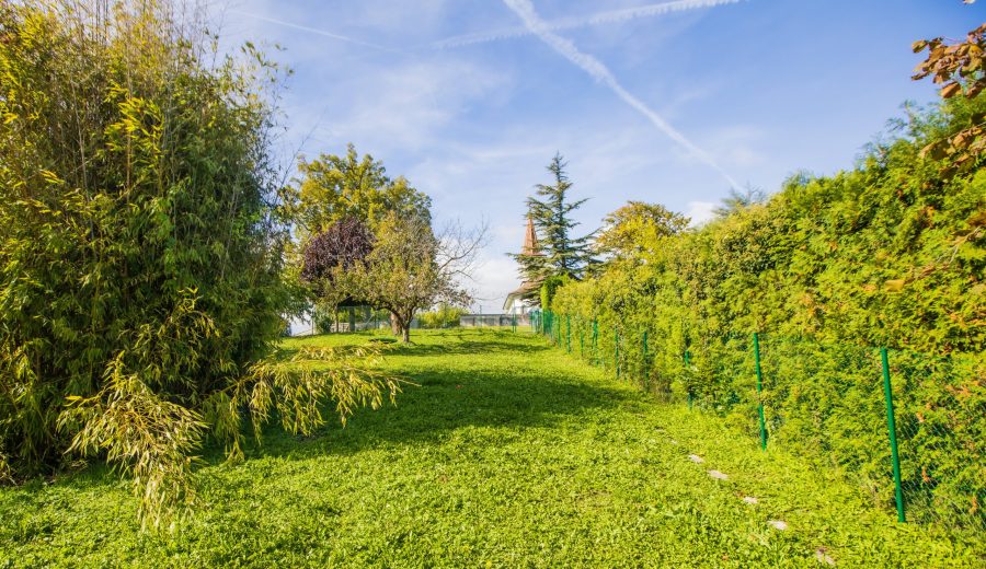 Jardin derrière 2_smaller