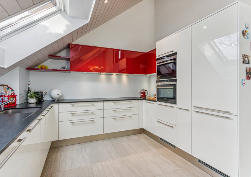 backbone_110158_004_WEB